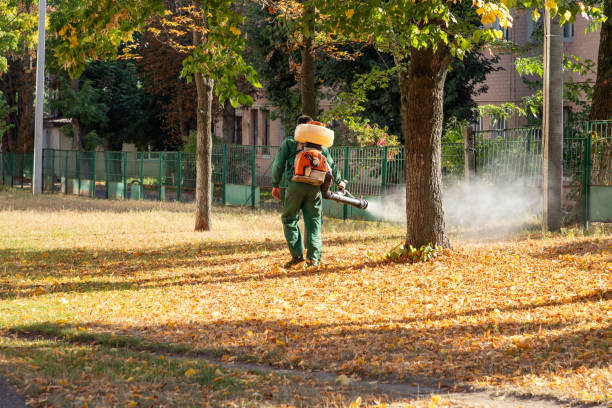 Best Commercial Pest Control Services  in Cottageville, SC