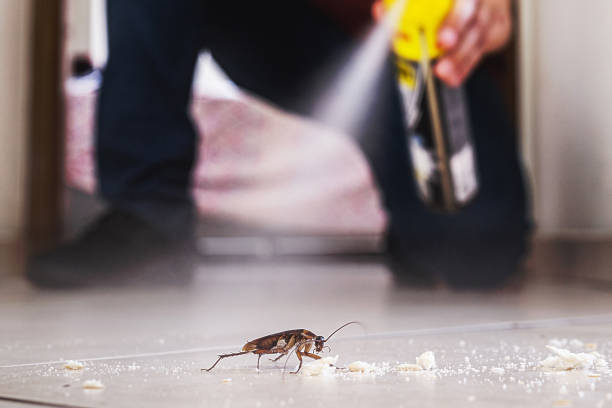 Best Residential Pest Control  in Cottageville, SC